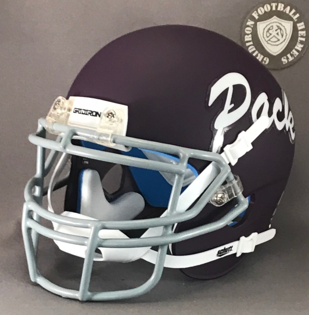 Lufkin Panthers HS 2018 (TX) Matte Purple Helmet